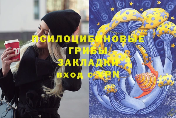 каннабис Корсаков