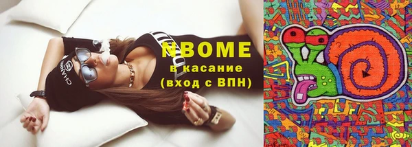 гашик Костерёво