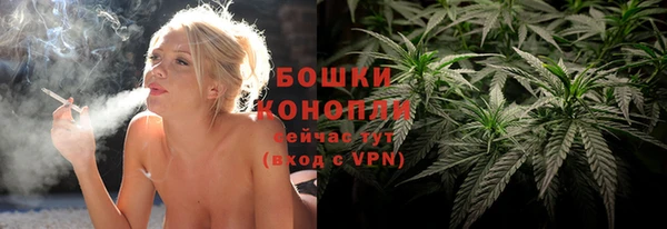 гашик Костерёво